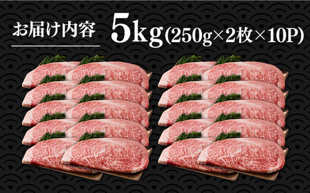 【訳あり】博多和牛 サーロインステーキ 5kg [VBB012]大容量 ステーキ