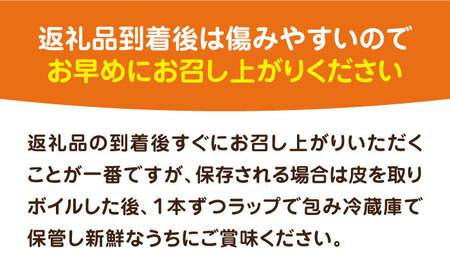 【先行予約 2026年6月頃より順次発送】農家直送 朝どれ スイートコーン 白 黄 食べ比べ セット 約4kg 9-12本入[VBC002] 野菜 コーン