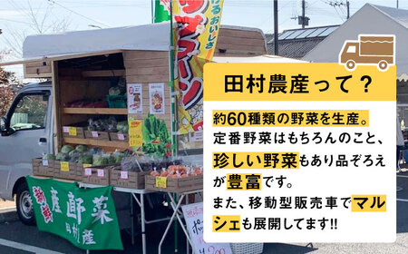 【先行予約】白 とうもろこし 10-12本入 田村農産[VBE001] トウモロコシ