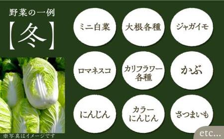 【全12回定期便】農家が選ぶ！ 旬の新鮮野菜セット[VBE010]産直 野菜 やさい 詰め合わせ