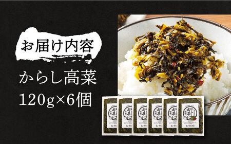 からし高菜120g×6個セット[VBG004]【株式会社瑞穂】
