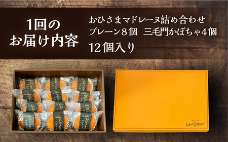 【全12回定期便】おひさまマドレーヌ12個詰め合わせ (おひさまマドレーヌ8個 三毛門かぼちゃマドレーヌ4個)[VBI017] お菓子 菓子 詰め合わせ 洋菓子
