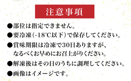 【全6回定期便】【化粧箱入】博多和牛A5〜A4 切り落とし 500g[VCL112]