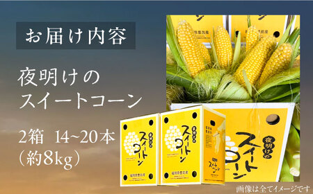 【先行予約】夜明けのスイートコーン 4kg×2箱 14-20本 [VCO002] コーン とうもろこし