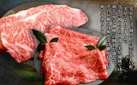 【定期便3か月】岡山 黒毛和牛 美星牛 A4等級以上 牛脂付き 3か月 定期便 合計約1200g 生産者直送便 美星町 美星牧場 定期便【黒毛和牛 肉 牛 岡山県 倉敷市 おすすめ 人気】