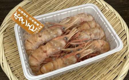 8-015-003　冷凍ボタンエビ 500g（約20尾）