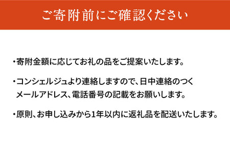 【あなただけの特別プラン】豊前市 コンシェルジュ 寄附額 50万円 コース おすすめ おまかせ 定期便 [VZZ001]