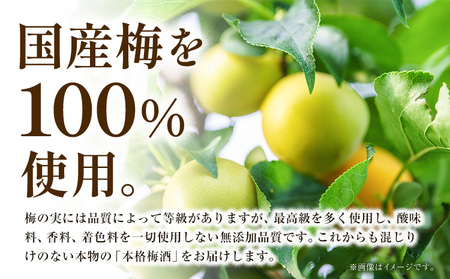 本格梅酒 Pio 飲みきりサイズ：50ml 60本 