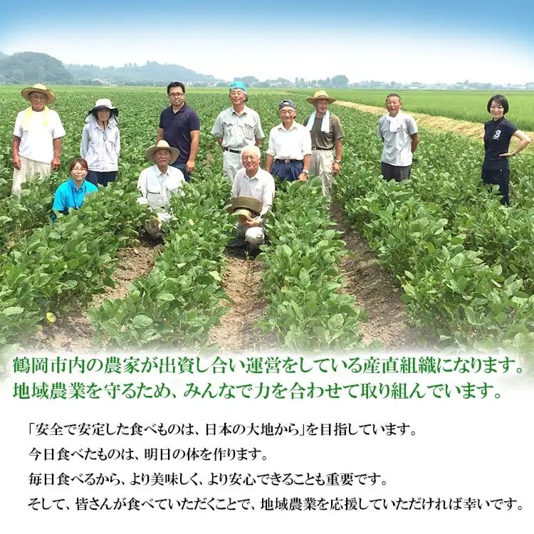 【令和8年産先行予約】山形県鶴岡特産　訳ありだだちゃ豆 3kg(1kg×3袋)　庄内産直センター　| 枝豆 豆 まめ マメ 野菜 産地直送 期間限定 訳あり品 夏野菜 旬 おつまみ ビール 香り 濃厚 お取り寄せ おすすめ 人気 美味しい グルメ 庄内 国産 返礼品