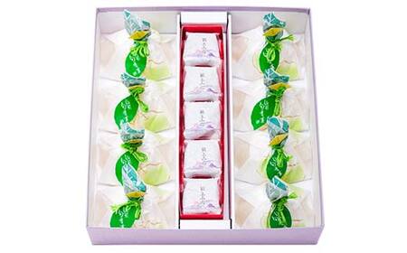 【杵屋本店】ファーストクラスギフト 13個入り（ラフランスゼリー8個・最上小石5個） F2Y-5758