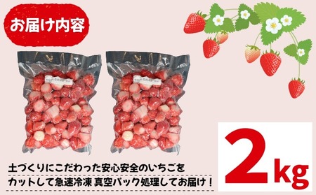冷凍いちご　とちおとめ　6kg 楽天市場】【訳あり】冷凍いちご とちおとめ＆とちあいかMIX 砂糖漬け