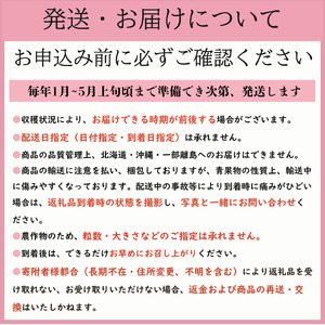 先行予約 いちご とちおとめ 約250g×4パック 計1kg いちご