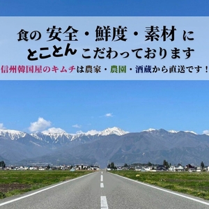 辛党におすすめ！切れてる大辛キムチ 2kg 国産 白菜キムチ 国産 長野県 韓国屋 信州韓国屋 新鮮 健康 発酵食品 おつまみ おかず ご飯のお供 お酒のお供 韓国 白菜 キムチ