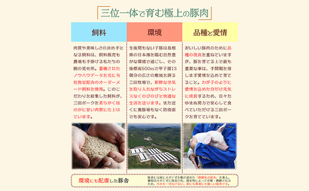 【ふるさと納税】 三田ポークの魯肉飯 ( ルーローハン 台湾料理の丼 ご飯の素 うずら卵入り 160g 10食セット )健康志向 常温長期保存 保存食 防災 災害備蓄 数量限定 訳あり ふるさと納税 ふるさと 人気 おすすめ 送料無料 兵庫県 三田市 [3d28bae630003]