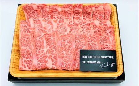 佐賀牛 艶さし！【A4～A5】佐賀牛焼肉用 500g 肉 お肉 牛肉 和牛 牛 ※配送不可：離島 