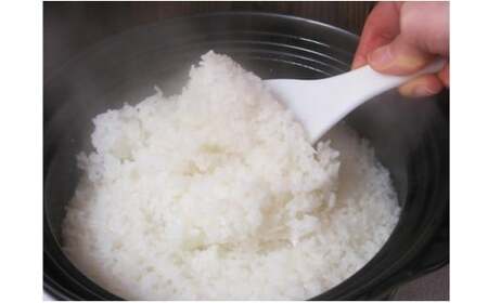 有田焼 直火・電子レンジ対応炊飯器「炊っくん」4合炊 A45-47
