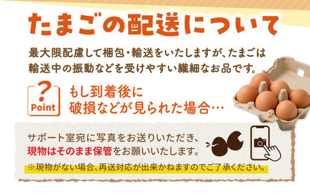 あっぱれ卵 24個 |いとう養鶏場 [UAQ001] 卵