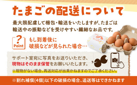 【6回定期便】あっぱれ卵 80個 /いとう養鶏場 [UAQ004] 卵