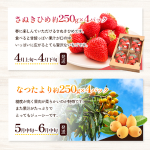 綾川町のいろいろ美味しいフルーツ定期便（年10回） 