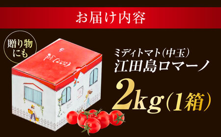 トマト 江田島ロマーノ 2kg トマト[XAB005]