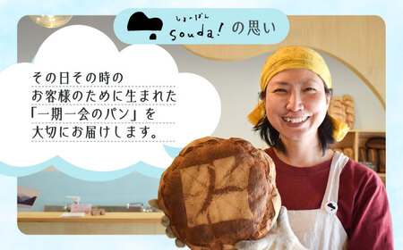 【全3回】パン詰め合わせ2・3種 パン[XAQ004]