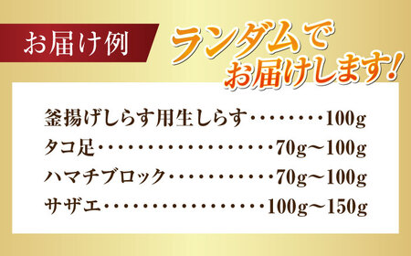 海鮮 旬の海の幸 寄附額1万円相当 海鮮[XBY004]