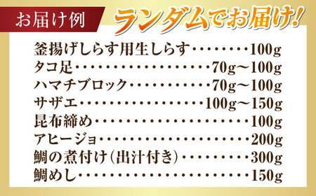 海鮮 旬の海の幸 寄附額3万円相当 海鮮[XBY006]