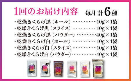 【全6回】きくらげ りんりんセット計6袋 きくらげ[XCB007]