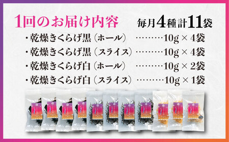 【全12回】きくらげ ぷりこりセット計11袋 きくらげ[XCB011]