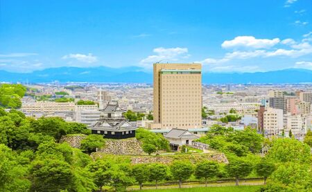 ホテルコンコルド浜松 浜名湖うなぎ元城亭「鰻重（並）」ペアお食事券 