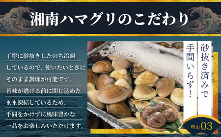 はまぐり LLサイズ 2.8kg 貝【 湘南はまぐり 蛤 】