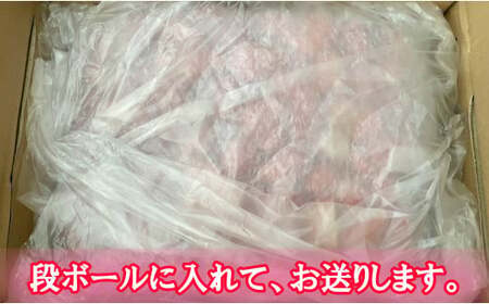 いちご とちおとめ 約1kg×8パック 計8kg いちご レシピ付 冷凍