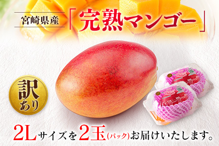 先行予約 ＜訳あり＞ 完熟マンゴー 宮崎県産 2Lサイズ 2玉 フルーツ 果物【B615-26】