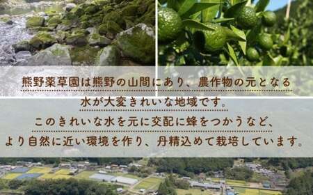 熊野薬草園の新姫（にいひめ）（1kg×2袋）【kmys0015A】