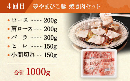 【定期便】「夢やまびこ豚」鍋セット 焼肉セット 各2回 | 豚肉 お肉 しゃぶしゃぶ 焼肉 冷蔵 幸田町 国産 送料無料