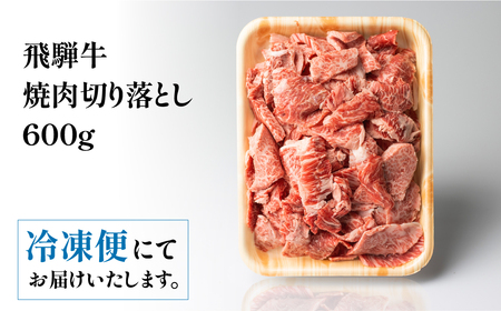 飛騨牛 焼肉 切り落とし 600g 焼肉  [S767]