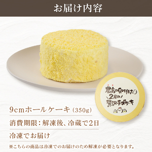 二層の贅沢チーズケーキ チーズケーキ チーズケーキ チーズケーキ 父の日 J88_02
