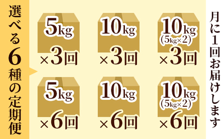 【定期便3回】 聖米(精米) 5kg×3回 | 米 お米 こしひかり 白米 精米