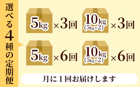 【定期便3回】 丹波美人 白米 5kg×3回 | 米 お米 こしひかり 白米 精米