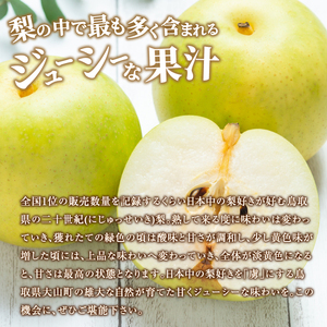 DS-24　二十世紀梨　3kg