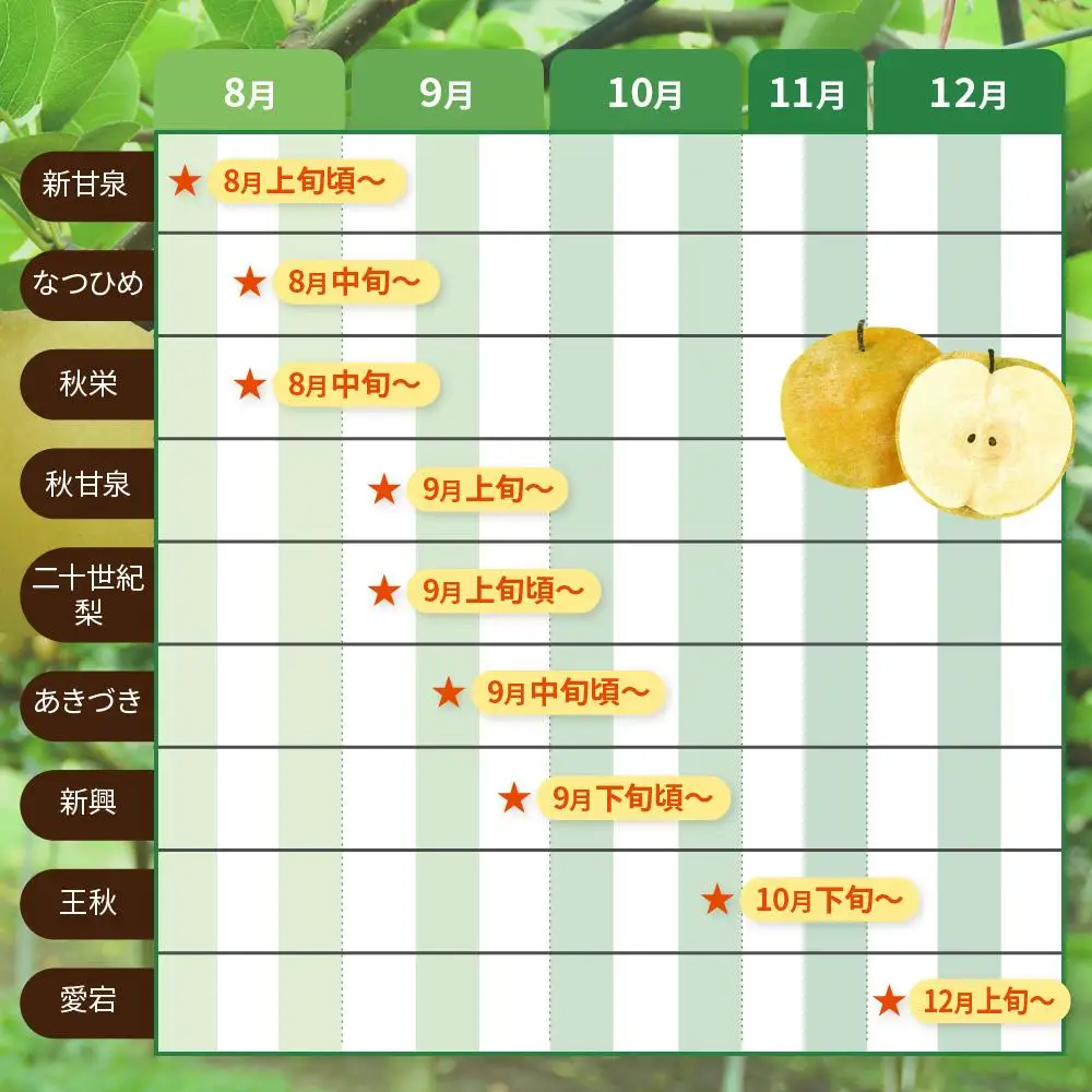 数量限定 鳥取県産梨 なつひめ 5kg（12～14玉）|梨