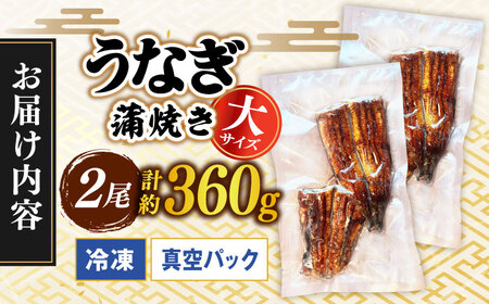 うなぎの蒲焼き 2尾 多治見市/うなぎや[TFO002] うなぎ 