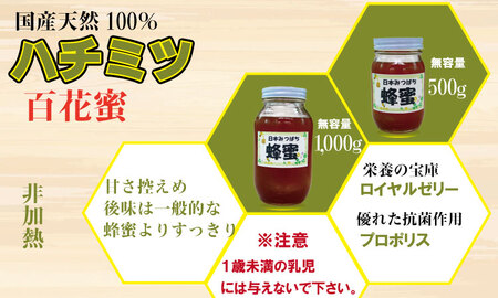 はちみつ 日本蜜蜂 百花蜜 500g B120-080 はちみつ 国産
