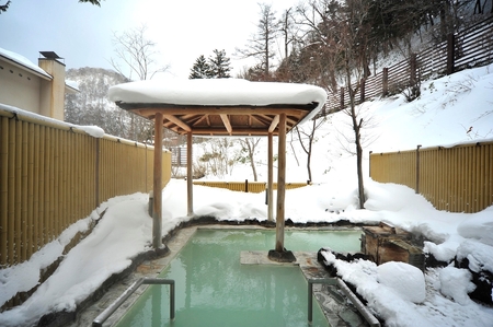 湯元板屋の1泊2食 宿泊券 (洋室2名) [日光国立公園内にある豊かな自然に囲まれた源泉かけ流しの老舗温泉旅館] [0360]