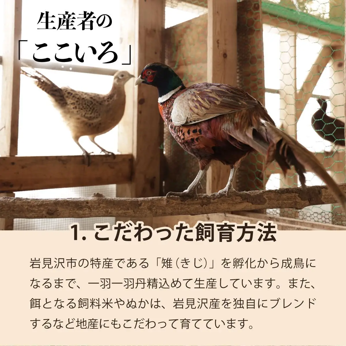 宝きじのぎょうざ（15個入り×2袋）