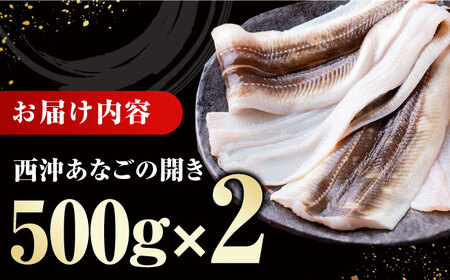 対馬産 天然あなごの開き500g×2[WCO002] 穴子 アナゴ 新鮮 あなご