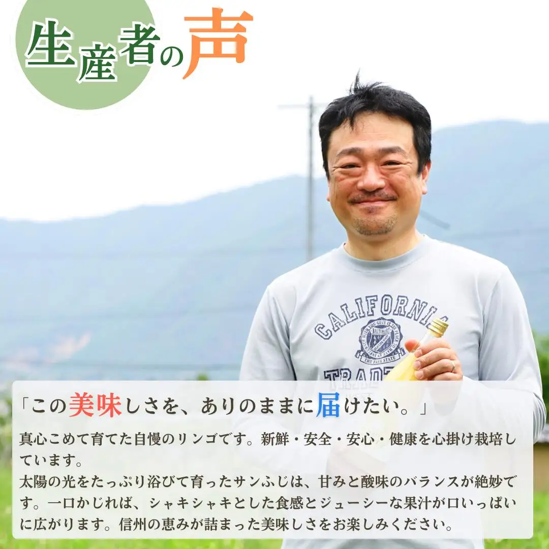 【2026年先行予約】りんご サンふじ 約5kg 中島農園|りんご