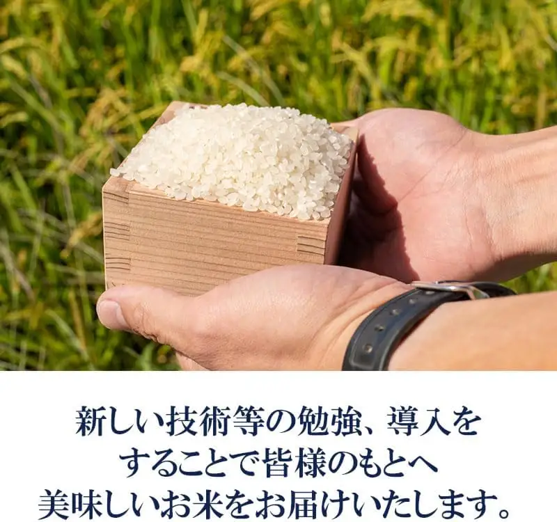 【令和7年産】 馬町さくらファームのはえぬき 精米 15kg（5kg×3袋）　山形県鶴岡市　K-781　| 米 お米 コメ こめ 15キロ ご飯 ごはん ブランド米 国産 美味しい おいしい 返礼品