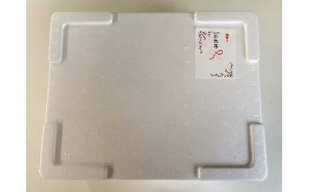 【岩手大槌サーモン】銀鮭 詰合せ (50切入)