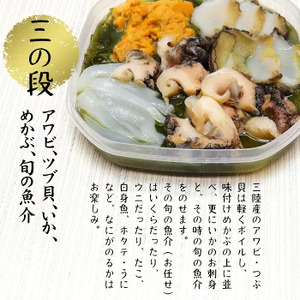 【12ヶ月定期便】ご贈答 三陸 玉手箱 計480g前後 ( 160g前後 ×3段 ) 計12回お届け おせち 人気｜冷凍 小分け 食べきり 化粧箱 熨斗 のし お取り寄せ ギフト 海宝 味付 漬 海鮮丼 どんぶり ドン 岩手 いわて iwate